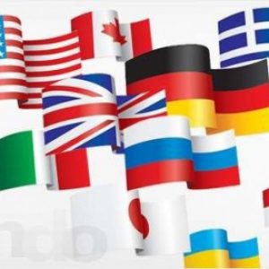 img9 img9